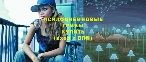 амф Алексеевка