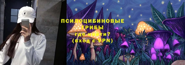 амф Алексеевка