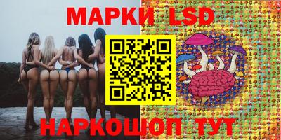 Альфа ПВП Балашиха