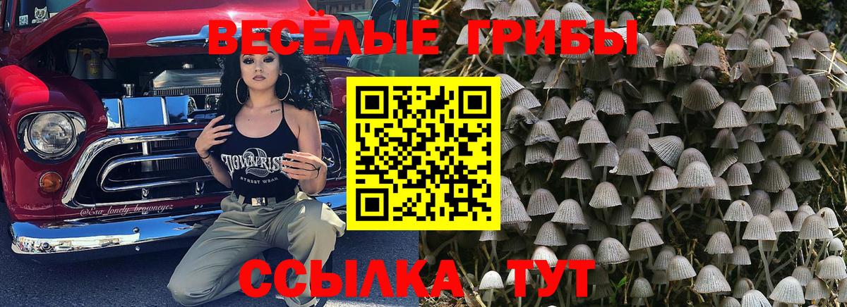 Псилоцибиновые грибы мухоморы Всеволожск